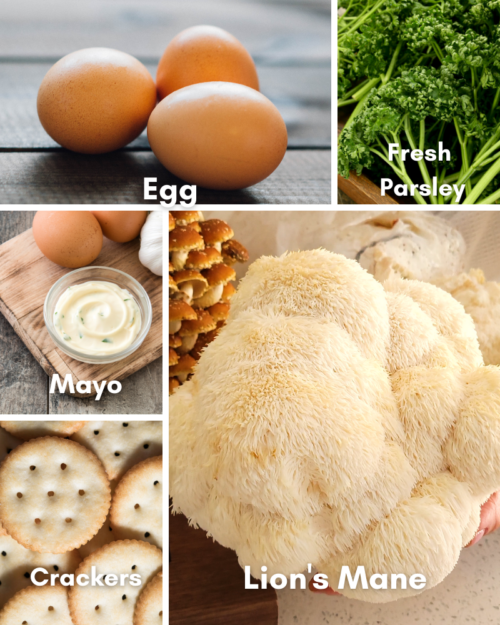 ingredients for Lion's Mane Crab Cake Recipe