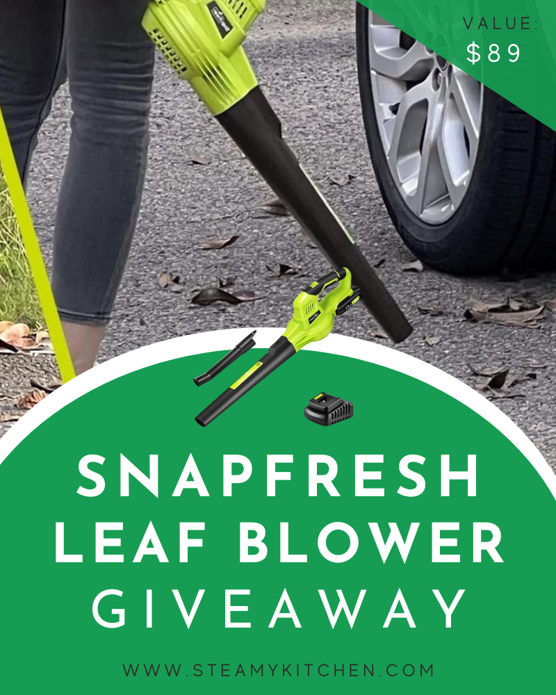 SnapFresh Leaf Blower GiveawayEnds in 23 days.